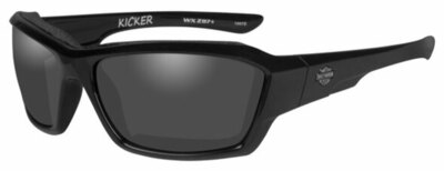 HD KICKER Smoke Grey lens / Gloss Black frame