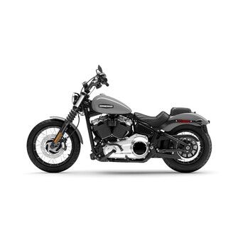 Harley-Davidson Softail  2025