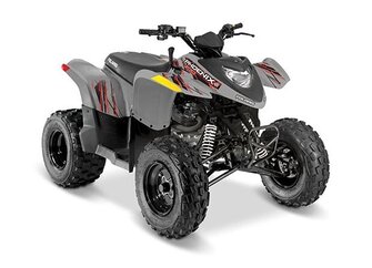 Polaris Phoenix 200