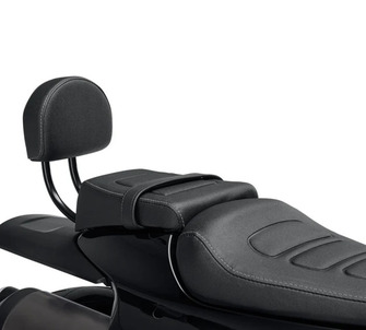 Passenger Backrest Kit